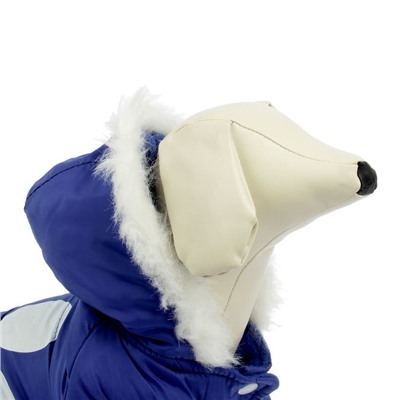 Куртка с капюшоном и мехом, размер М (ОШ 28, ОГ 40, ДС 26 см), синяя
