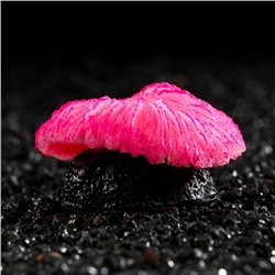 Декор для аквариума коралл "Пильчатый гриб", силиконовый, 5 х 2,5 см, розовый