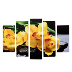 Модульная картина "Жёлтые орхидеи" (2-23х52; 2-24х70; 1-24х80) 120х80см