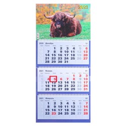 Календари квартальные трио "Символ года, 2021  - 28" 31 х 69 см