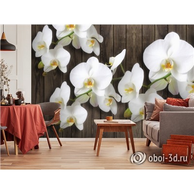 3D Фотообои  «Роскошная орхидея»