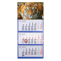 Календарь квартальный, трио "Символ года - 62" 2022 год, 31 х 69 см