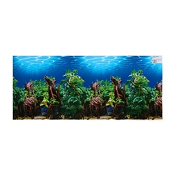 Фон для аквариума, 40 см, рулон 25 м