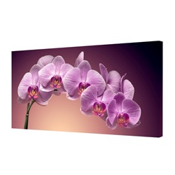 Картина на холсте" Ветка орхидеи" 50*100 см