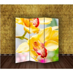 Ширма "Орхидеи", 160 × 150 см