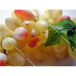 виноград большой VINOGR--2-L