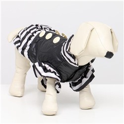 Курточка для собак с воланами,размер 6 (ДС 43,ОШ 44, ОГ 60 см), чёрная