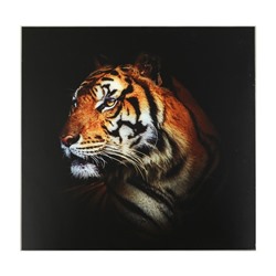 Картина "Красивейший тигр" 50*50 см