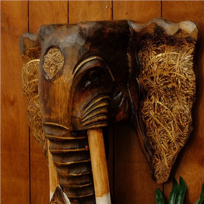 Сувенир дерево "Голова слона" 50 см