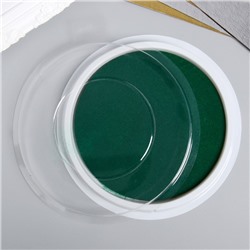 Штемпельная подушка "Зеленый" 1х16х16 см (для отпечатков рук)