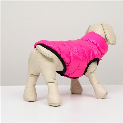 Куртка для собак двухсторонняя с воротником , ДС 24, ОШ 24, ОГ 40, розовая/тёмно-синяя