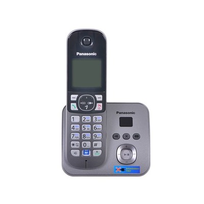 Радиотелефон Dect Panasonic KX-TG6821RUM серый металлик, автооветчик, АОН