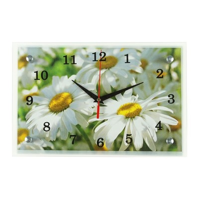 Часы настенные, серия: Цветы, "Ромашки", 20х30  см, микс