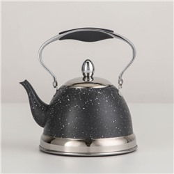 Чайник заварочный «Звёздное небо», 1 л, с металлическим ситом, индукция, цвет серый