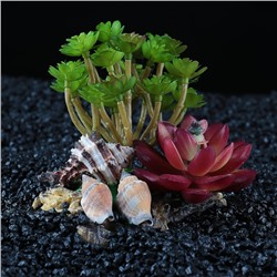 Островок с ракушками и растениями искусственными для аквариума, 12 х 11 х 9,5 см