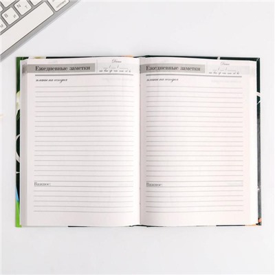 Набор: ежедневник, планинг и ручка "Лучшему учителю"