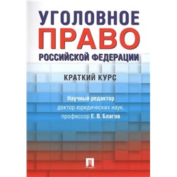 Уголовное право Российской Федерации. Краткий курс 2021