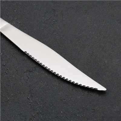 Нож для стейка «Моника», h=22 см, цвет серебряный
