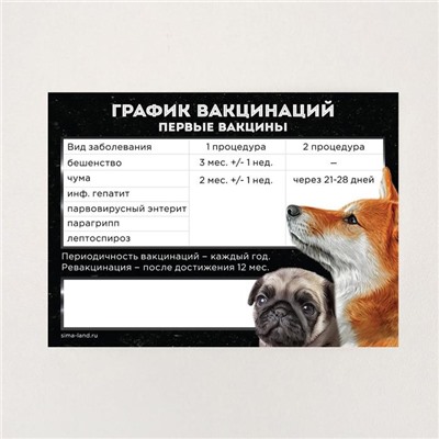 Обложка для ветеринарного паспорта собаки «Международный ветеринарный паспорт» и памятка