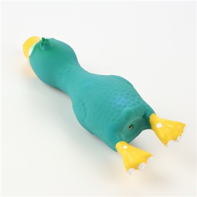 Игрушка пищащая для собак из латекса "Петух", 17 см, синяя