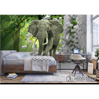 3D Фотообои «Слон на фоне леса»