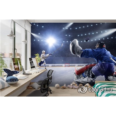 3D Фотообои «Хоккейный вратарь»