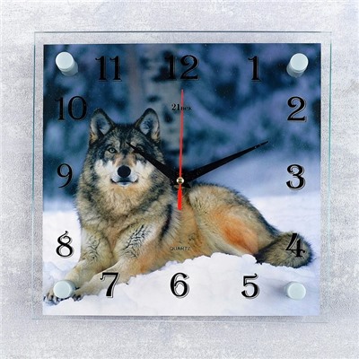Часы настенные, серия: Животный мир, "Волк", 25х25  см, микс