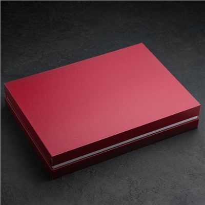 Набор столовый «Соната» («Империал»), 24 предмета, толщина 2 мм, декоративная коробка