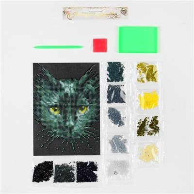Алмазная вышивка с частичным заполнением «Чёрный кот», 15 х 21 см, холст. Набор для творчества