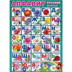 0800829 Плакат А2 Алфавит русский Цветочный