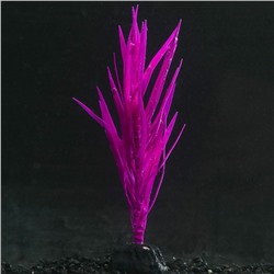 Растение силиконовое аквариумное, светящееся в темноте, 7 х 12,5 см, фиолетовое