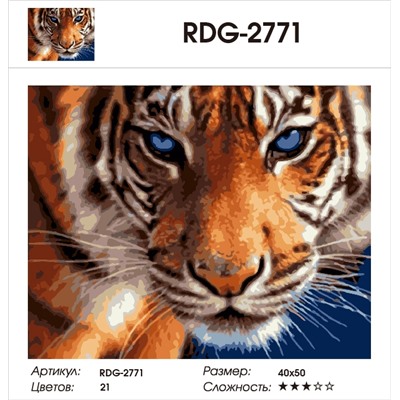 Картина по номерам 40х50 - Взгляд тигра