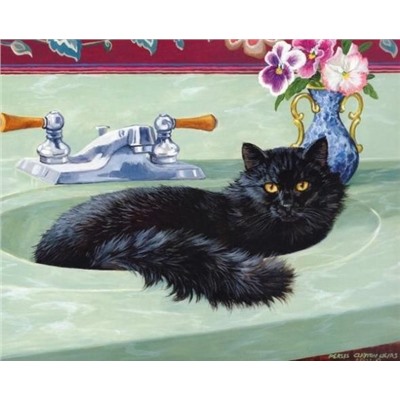 Картина по номерам 40х50 - Чёрный кот