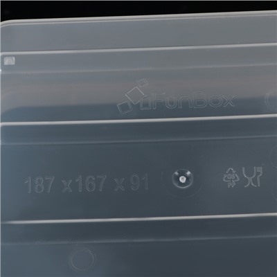 Контейнер для хранения с крышкой Basic, 2 л, 18×16×9 см, цвет прозрачный