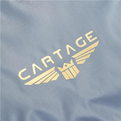 Термосумка Cartage Т-03, серая, 17-18 литров, 35х21х24 см
