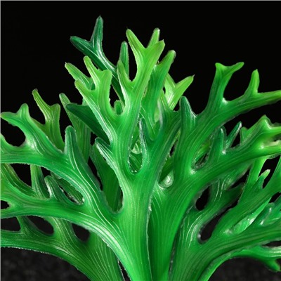 Растение искусственное аквариумное, 20 х 4 х 18 см
