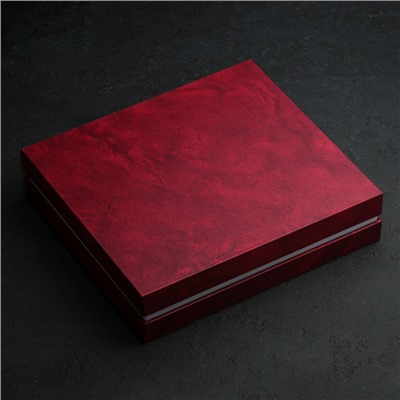 Набор столовый «Торжество», толщина 2 мм (М18), декоративная коробка, 24 предмета, цвет серебряный