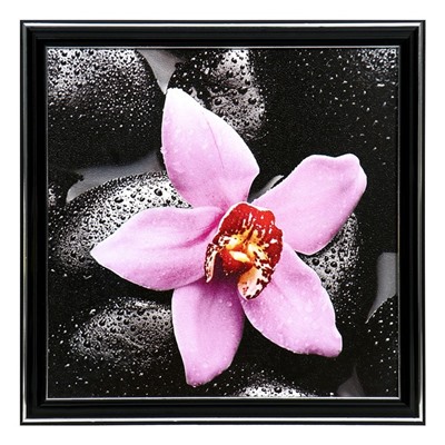 Картина "Розовая орхидея"  25х25(28х28) см