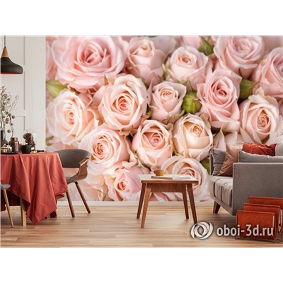 3D Фотообои «Кремовые розы»