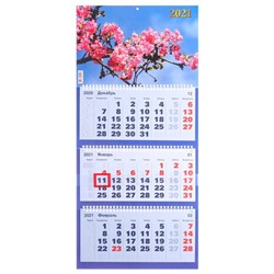 Календари квартальные трио "Природа, 2021 - 13" 31 х 69 см