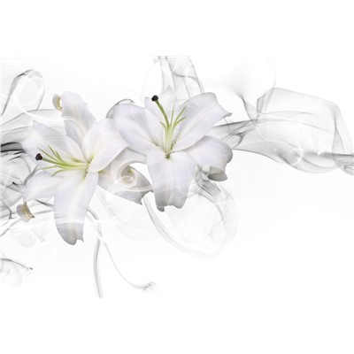 3D Фотообои «Пара белых лилий в дымке»