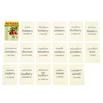 Карточки обучающие "Ягоды" 16 шт., с текстом 6,3х8,7 см
