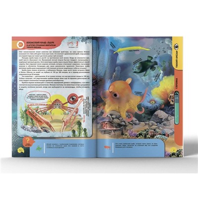 Энциклопедия 4D в дополненной реальности «Подводные жители»