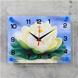 Часы настенные, серия: Цветы, "Кувшинка", 20х26  см, микс