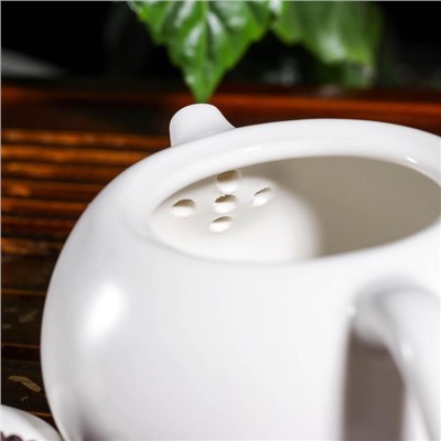 Набор для чайной церемонии «Небо», 5 предметов: чайник 200 мл, 4 чашки, 50 мл, цвет белый