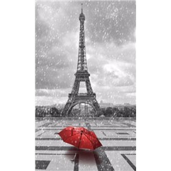 3D Фотообои «Эйфелева башня под дождем»