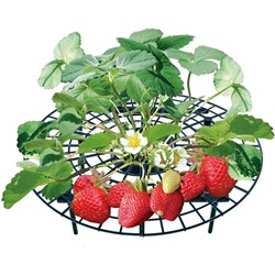 Садовая стойка-опора «Клубничка» (комплект из 5-ти шт.) Strawberry Support