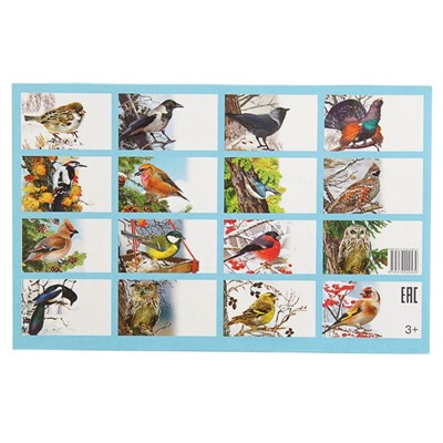 Обучающие карточки «Зимующие птицы России», 16 карточек