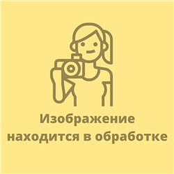 Планета знаний Окружающий мир 1кл Учебник Ивченкова /инт. пер. (2022) 2022
