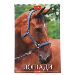 Календарь перекидной на ригеле "Лошади" 2022 год, 320х480 мм